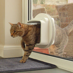 SureFlap cat door installation in doorway shows versatile mounting options.