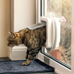 SureFlap Microchip Cat Door reads up to 32 IDs for flexible multi-cat households
