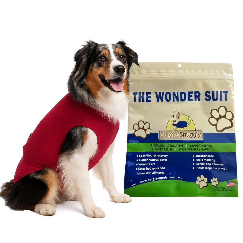 Surgi~Snuggly disposable dog diapers keeper closeup shows secure wrap-around design for confident fit.