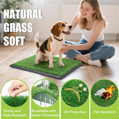 SUWUYUE two-pack replaceable grass demonstrating economical long-term potty solution
