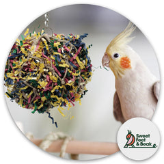 Sweet Feet and Beak 7in shredding ball showing hidden wooden treasures for discovery