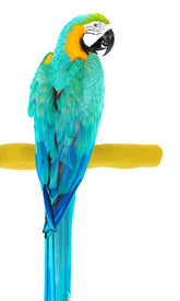 Sweet Feet and Beak comfort grip perch front view on cage with easy bolt mount installation