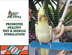 Sweet Feet and Beak Comfort Grip Perch installed in cage for quick setup