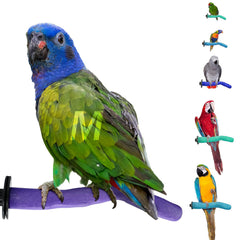 Sweet Feet & Beak safety pumice perch top view highlighting smooth surface and grip-ready edges