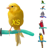Sweet Feet & Beak Safety Pumice Perch green top view highlighting smooth surface and grip