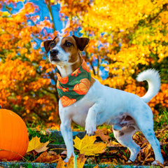 Sweetude pumpkin-pattern dog bandana for cute autumn outfits and photos