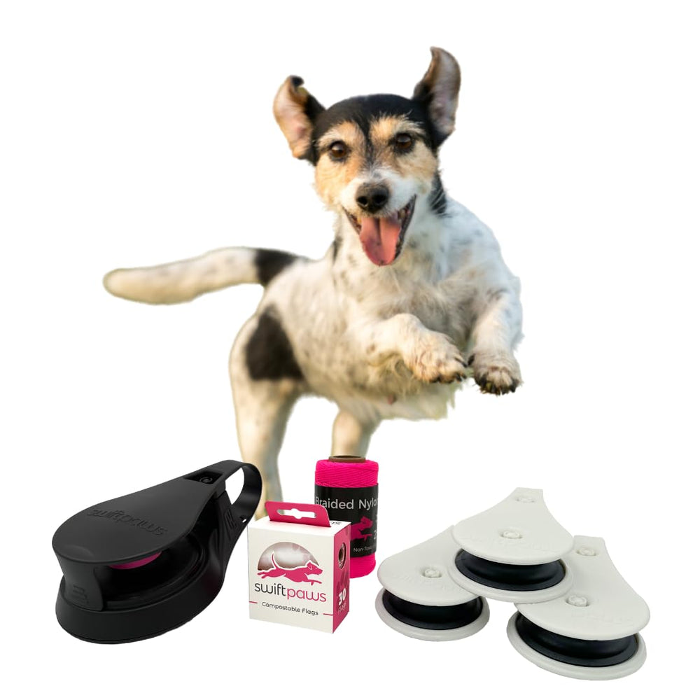 Swift Paws CHASE! main unit demonstrates wall-powered dog toy for engaging backyard play and mental enrichment.