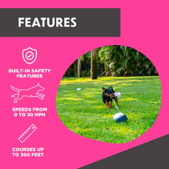 SwiftPaws line stays taut for controlled engaging sessions