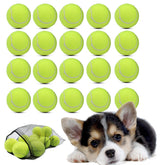 Swingers small tennis balls 20-pack shown together for versatile dog training and play.