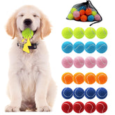 Swingers squeaky tennis ball 01 in bright colors encourages active play.
