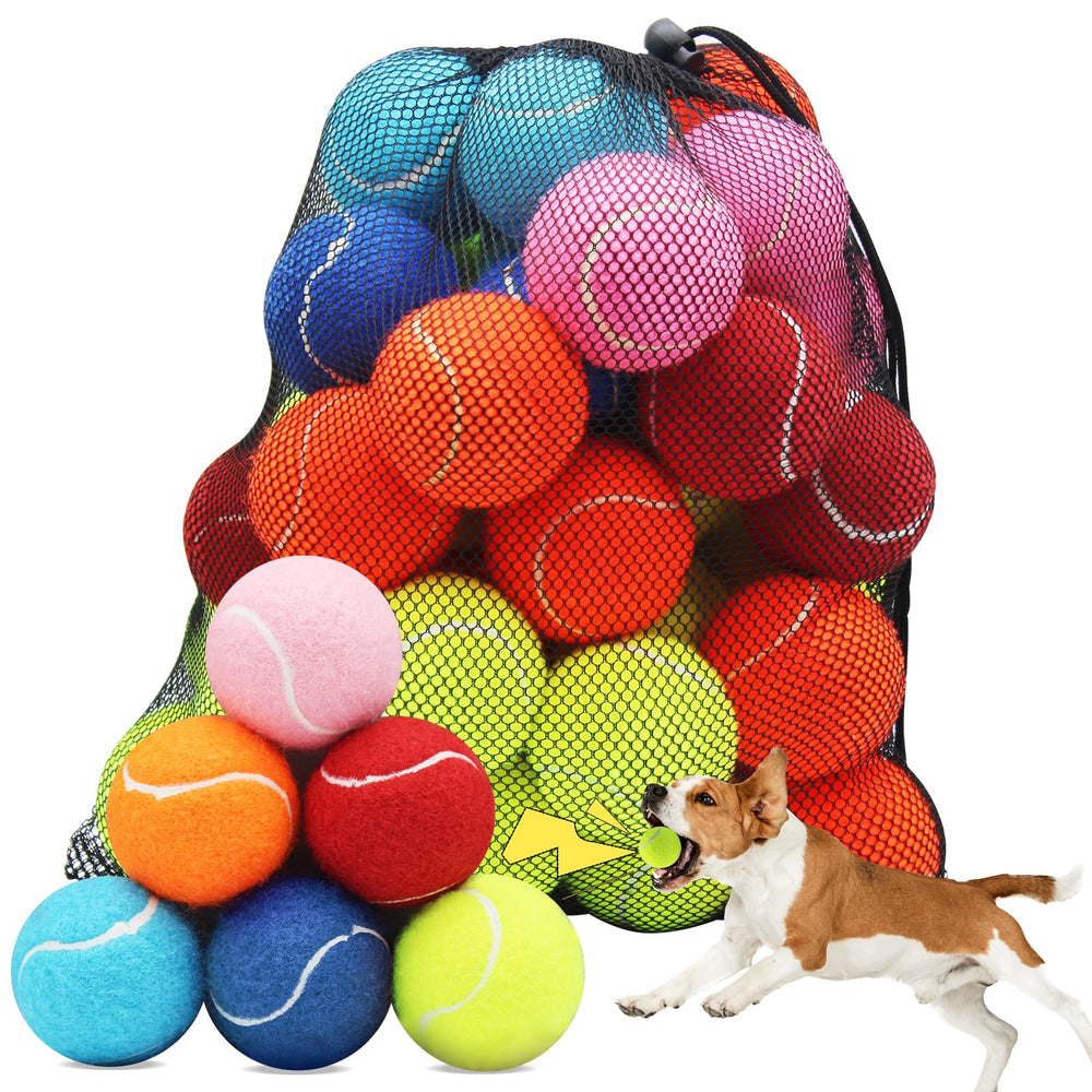 Swingers squeaky tennis ball pack in multicolor for dogs boosts engagement