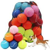 Swingers squeaky tennis ball pack in multicolor for dogs boosts engagement