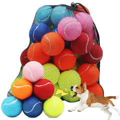 Swingers squeaky tennis ball pack in multicolor for dogs boosts engagement