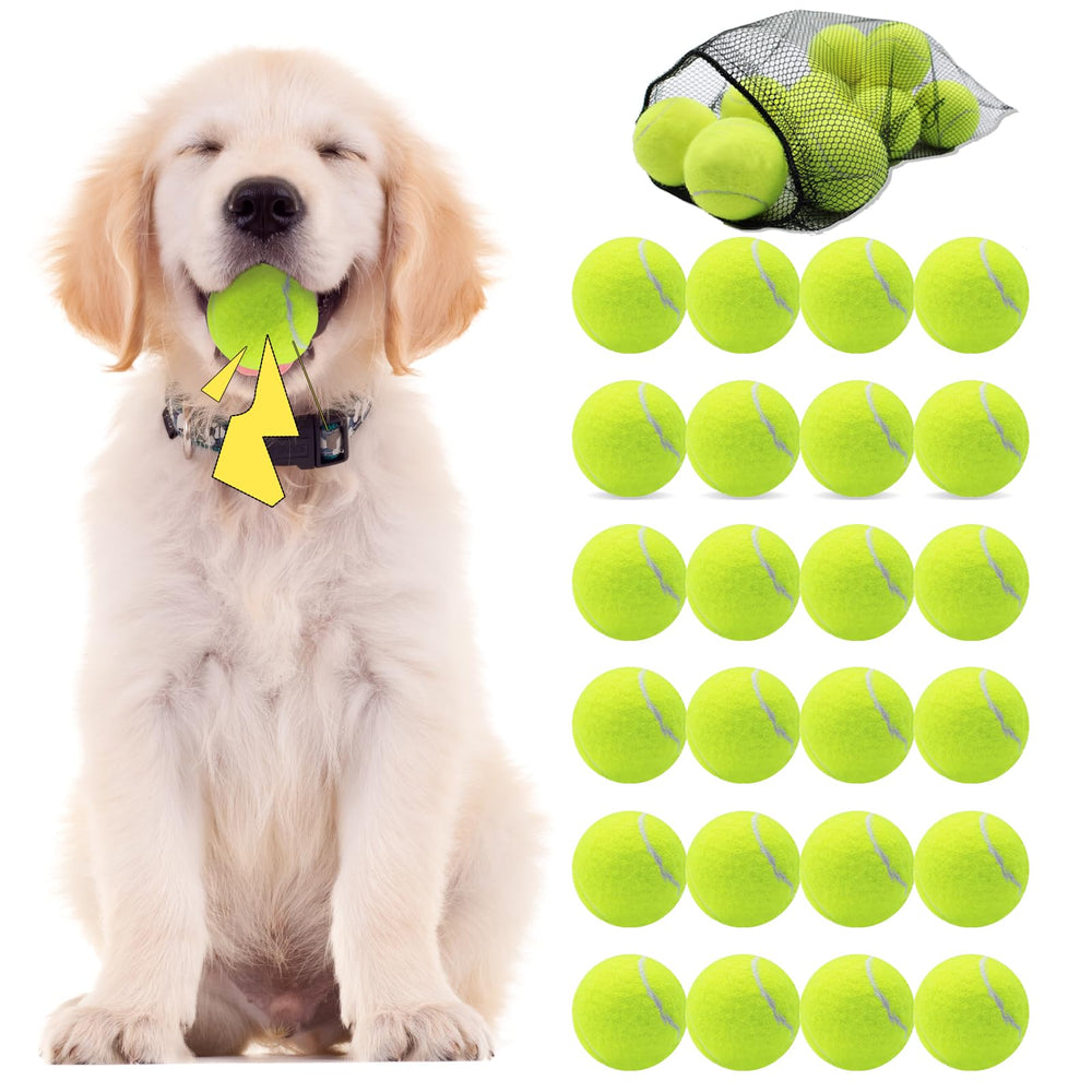 Swingers squeaky tennis balls for dogs in bright yellow captivate during play