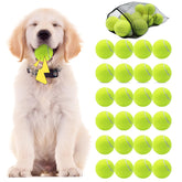 Swingers squeaky tennis balls for dogs in bright yellow captivate during play
