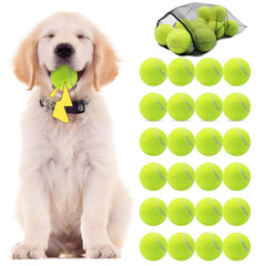 Swingers squeaky tennis balls for dogs in bright yellow captivate during play