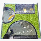 Switior floating plant corral guards duckweed in aquarium, prevents filter intake.