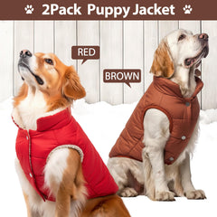Syhood dog jacket two-pieces back view showing full coverage against wind