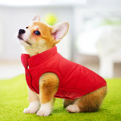 Syhood windproof dog coat back view highlighting weather protection for outdoors.