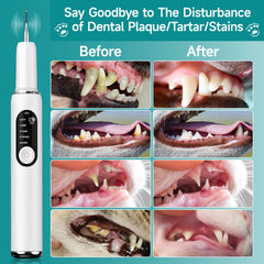SylvanSparkKitchen led-light indicator signals safe operation during brushing sessions.