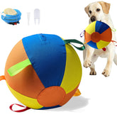 Symhobby giant-ball-22in: oversized outdoor play for active dogs