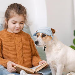 Symphonyw corduroy dog hat blue soft breathable material