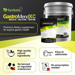 Close-up of GastroMend XC ingredients for mucosal healing and tissue strength.