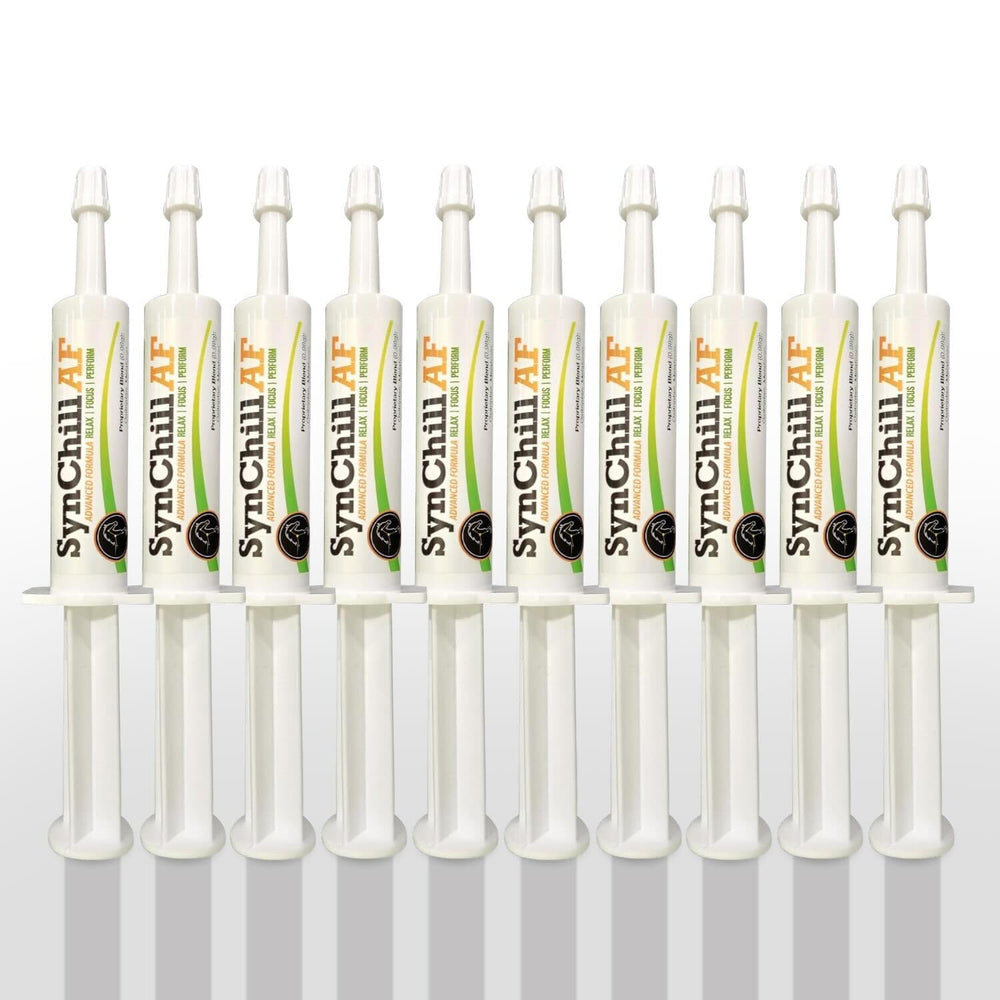 SynChill AF tube single-serve gel for horses supports calm focus during training