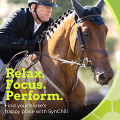 SynChill helps the horse stay focused and composed during demanding workouts