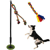 SYOOY tether-pole-installation enables quick outdoor dog exercise setup