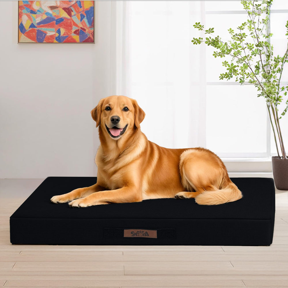Sytopia 42XL indestructible dog bed top view shows plush comfort for large dogs during cozy naps