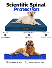 Sytopia 50-inch orthopedic-foam close-up highlights pressure-relieving support