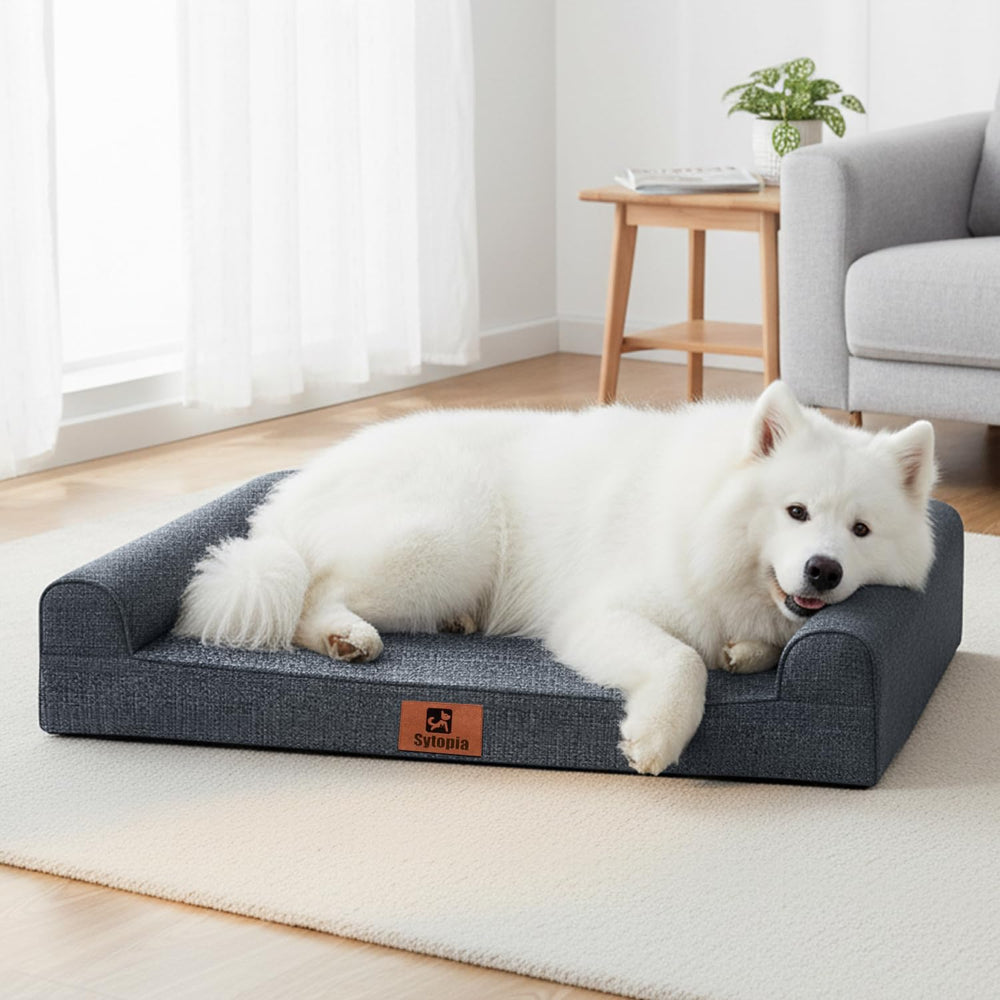 Sytopia indestructible chew-proof orthopedic dog bed 42x30 supports joints for large dogs.