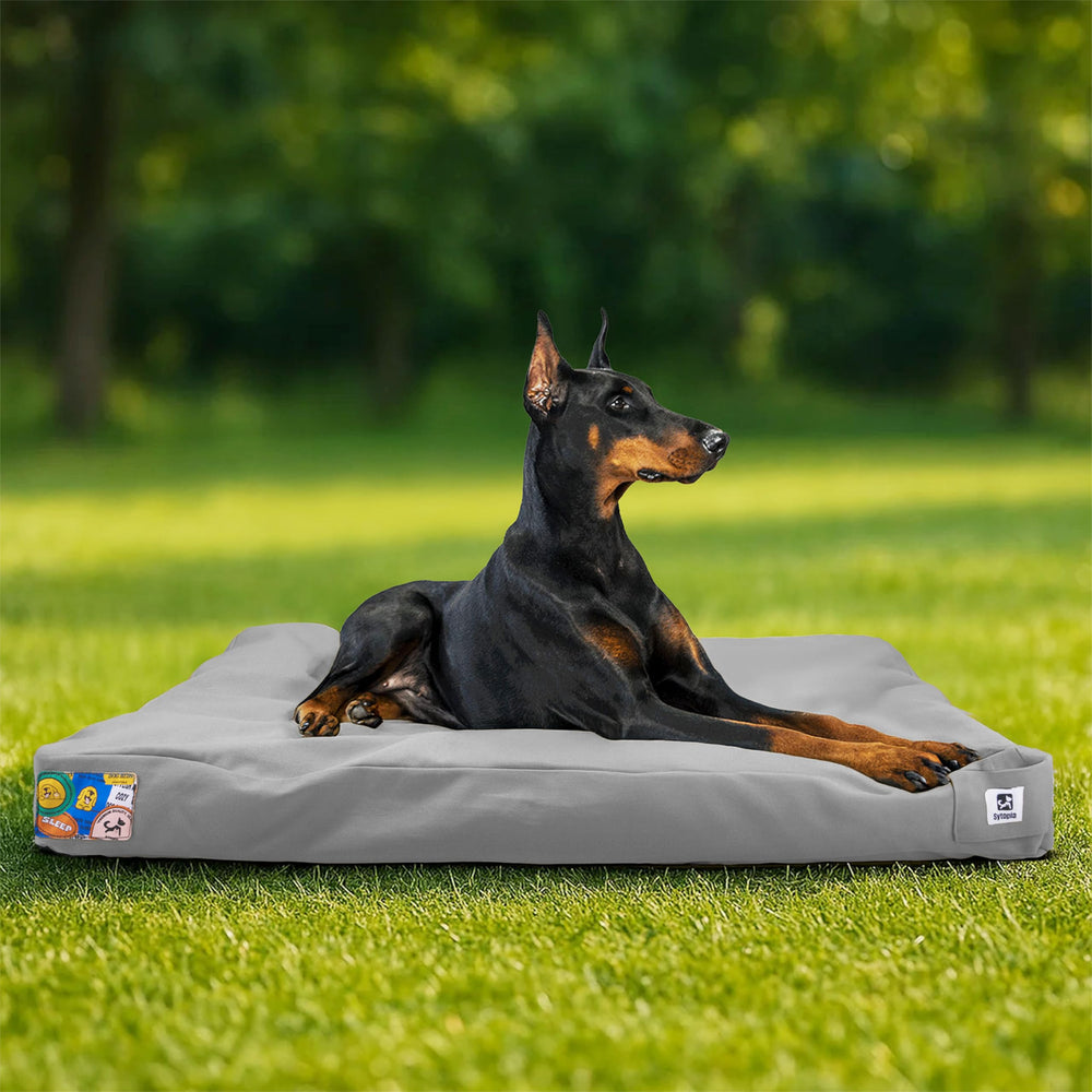 Sytopia outdoor canvas dog bed setup for spacious comfort anywhere