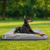 Sytopia outdoor canvas dog bed setup for spacious comfort anywhere