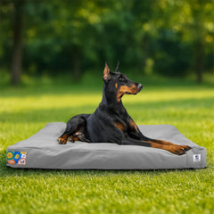 Sytopia outdoor canvas dog bed setup for spacious comfort anywhere