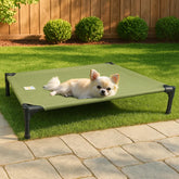 Sytopia outdoor raised dog bed assembly in medium green, demonstrating quick setup for camping