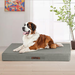 Sytopia XXL indestructible dog bed outdoors-ready for rugged adventures.