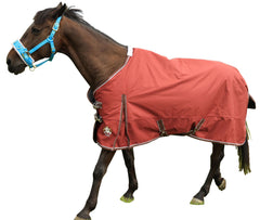 T TEKE Deluxe turnout blanket front-clip closure for quick on/off.