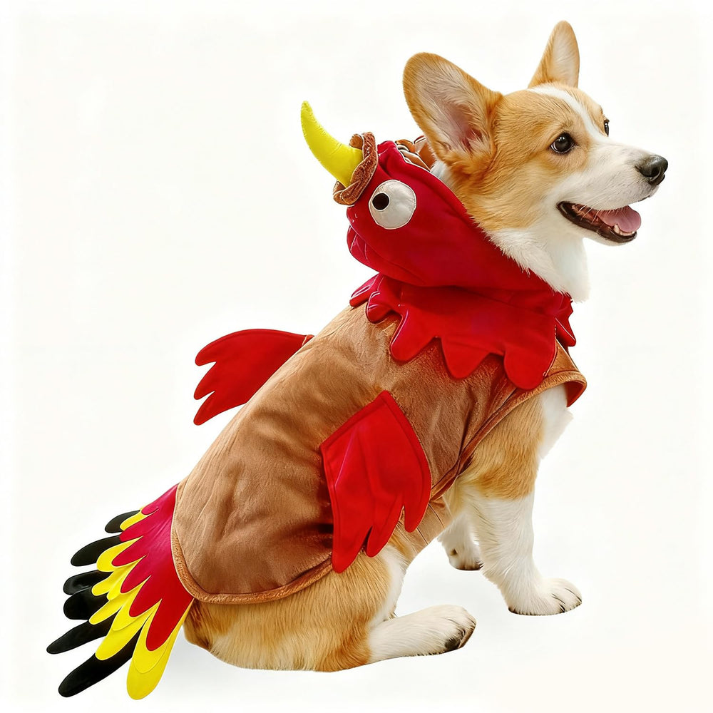 T2Y dog turkey costume with colorful wings and hat for festive photos