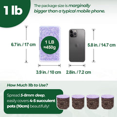 Fragmentos de amatista T4U para plantas de interior y terrarios.