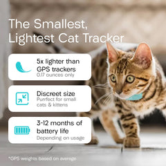 TabCat Homing Tag cat-collar-attachment demonstrates kitten-friendly, lightweight tracking.