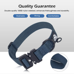 Tacwild nylon dog collar patrolling scene—great for hiking and everyday walks