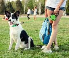 Taglory retractable leash supports dogs up to 100 lbs for daily walks