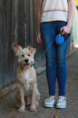 Taglory retractable leash shows 360-degree tangle-free design for smooth walking