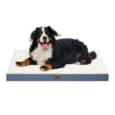 Tail Stories large dog bed outdoor use shows weather-ready comfort for adventures