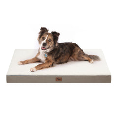 Tail Stories orthopedic dog bed large shot shows 36x27 size for big dogs