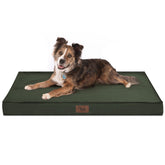 Tail Stories outdoor all-weather dog bed cover close-up showing waterproof fabric durability
