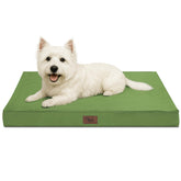 Tail Stories outdoor dog bed closeup foam highlights supportive egg crate comfort for small dogs and cats