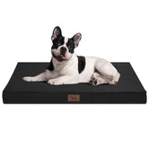 Tail Stories outdoor dog bed for small dogs offers weather-ready comfort for outdoor naps
